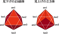 立方体と八面体
